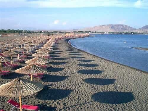 Flat Ergli Daire Velipojë Dış mekan fotoğraf